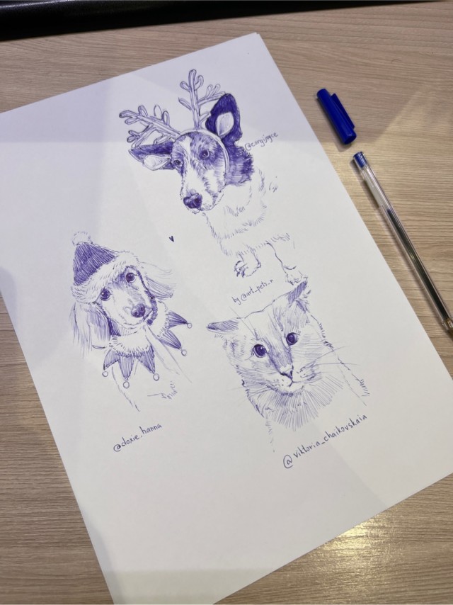 Новогодние песики и кота поплющило