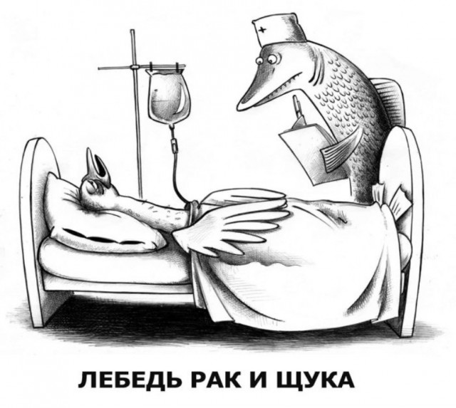 Картинки для деградации 127 (разной степени свежести)