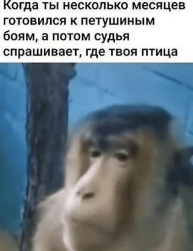 Еб@йшая еб@нин@