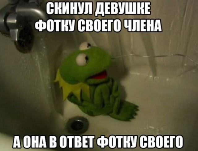 Картиночки, баянчики 27 июня