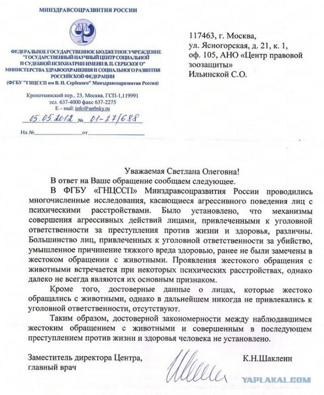 Почему собачники злее собак?