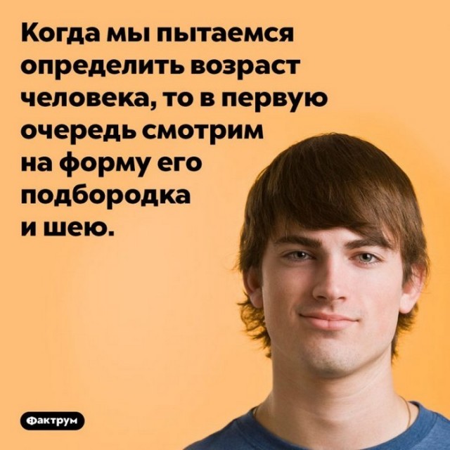 Интересные и короткие факты, на все случаи жизни
