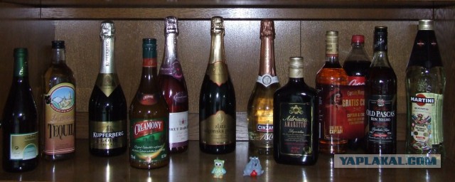 Борьба с похмельем по научному