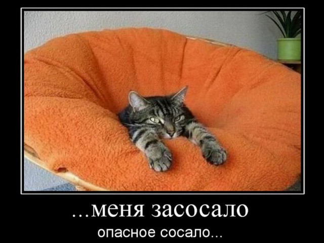 Па....ма...ги...те....