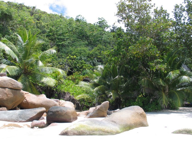 Как я съездил на Сейшелы