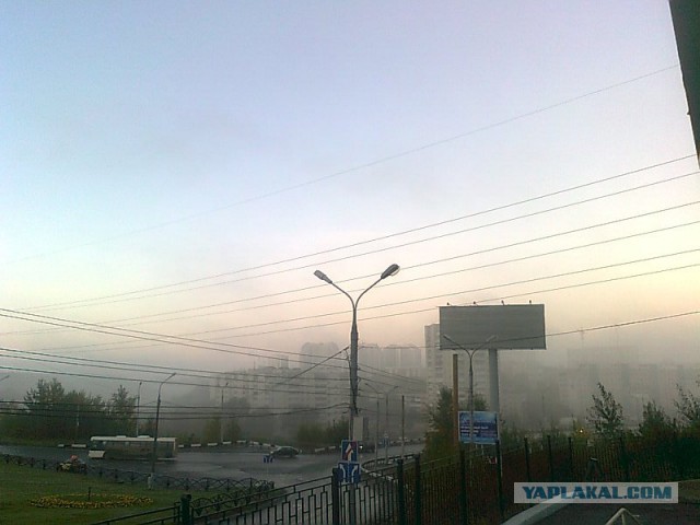 Последнее фото с Вашего телефона.
