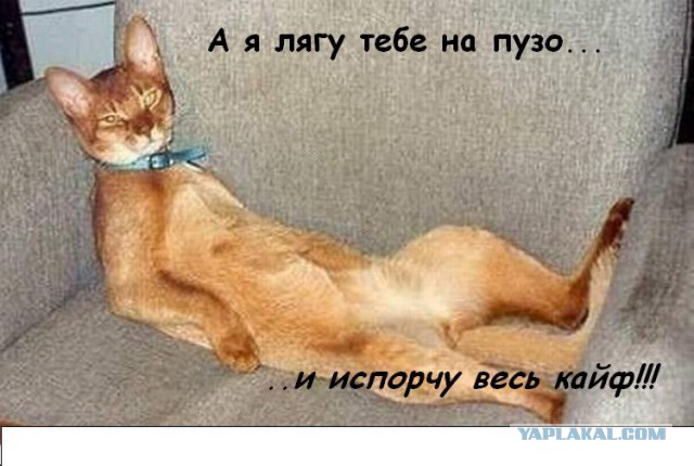 Моддинг корпуса IN WIN