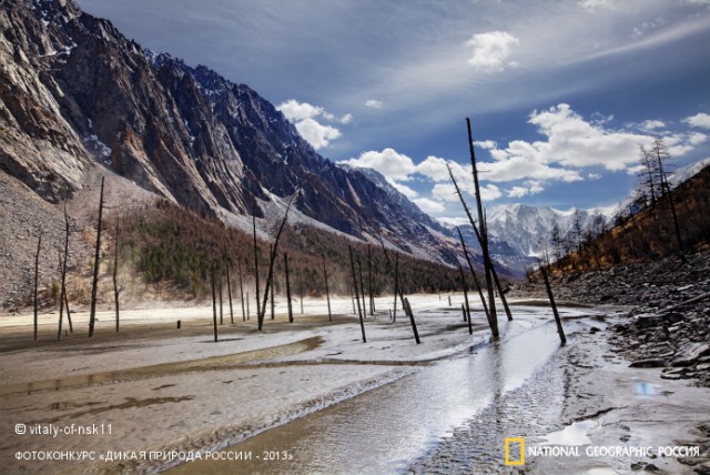 National Geographic,избранное...