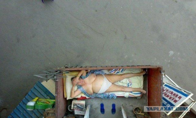 Юмор ниже пояса