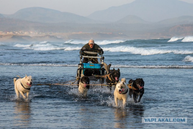 Смешные картинки