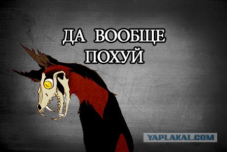 Колонну «Ночных волков» не пропустили в Польшу