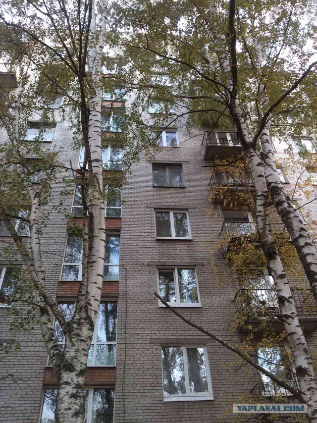 Как живут на загнивающем Западе...