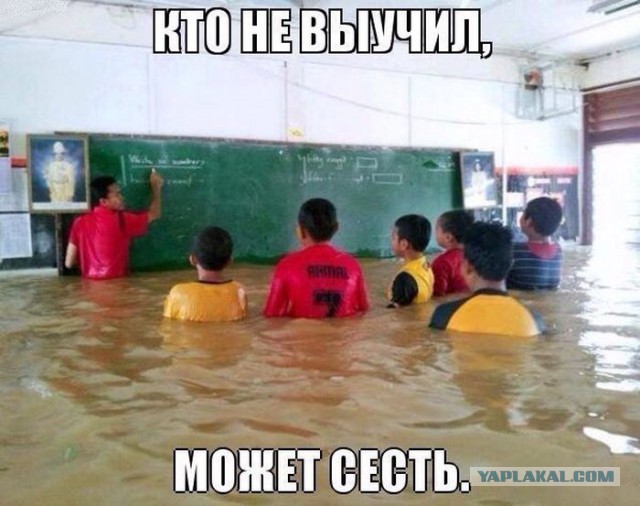 Картинки из сети