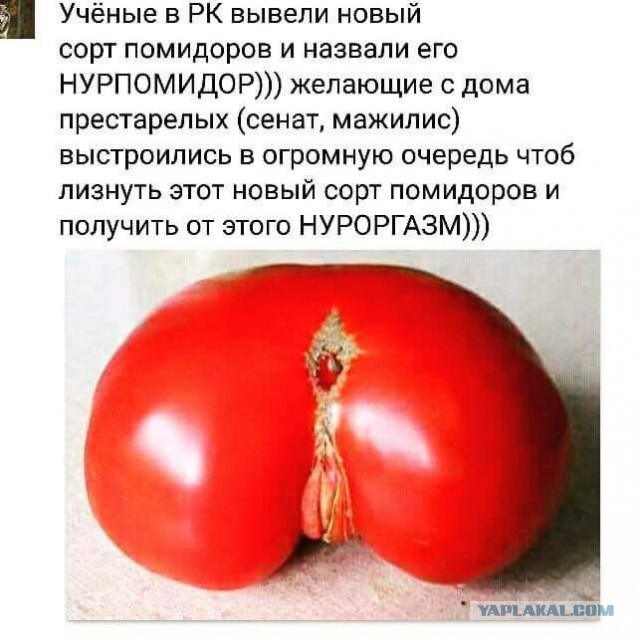 Именем Назарбаева предложили назвать столицу Казахстана