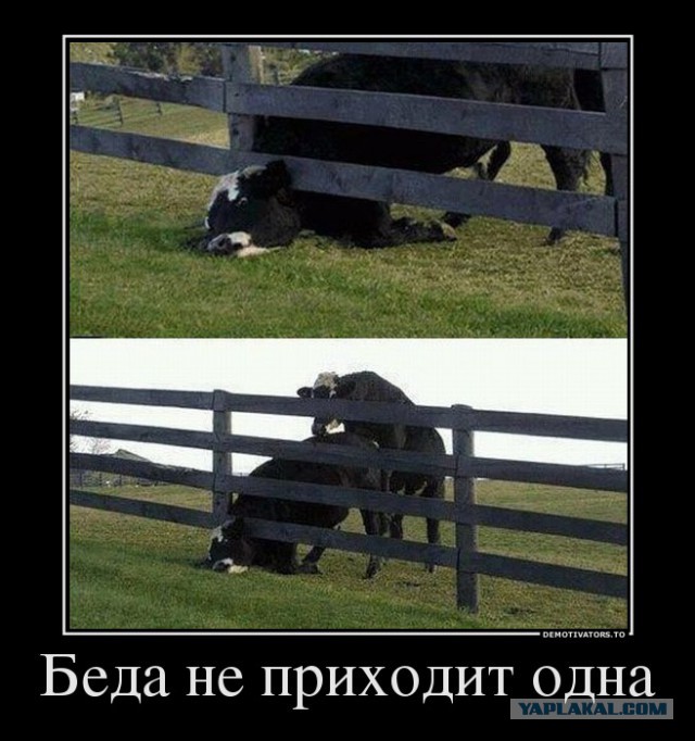 Используйте вещи по прямому назначению