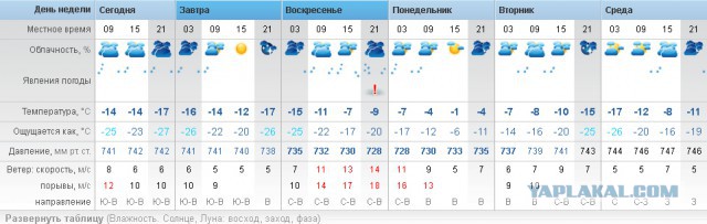Питерская весна, будь она неладна
