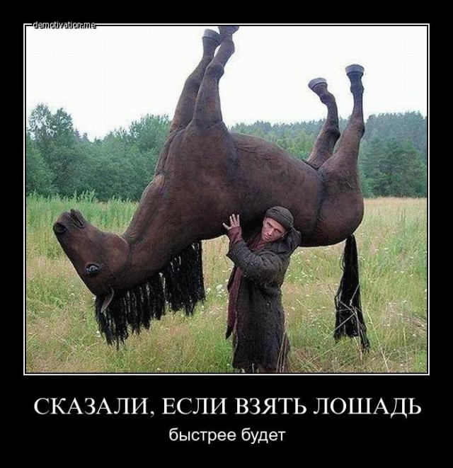 Хоббихосинг: новый спортивный тренд в Финляндии