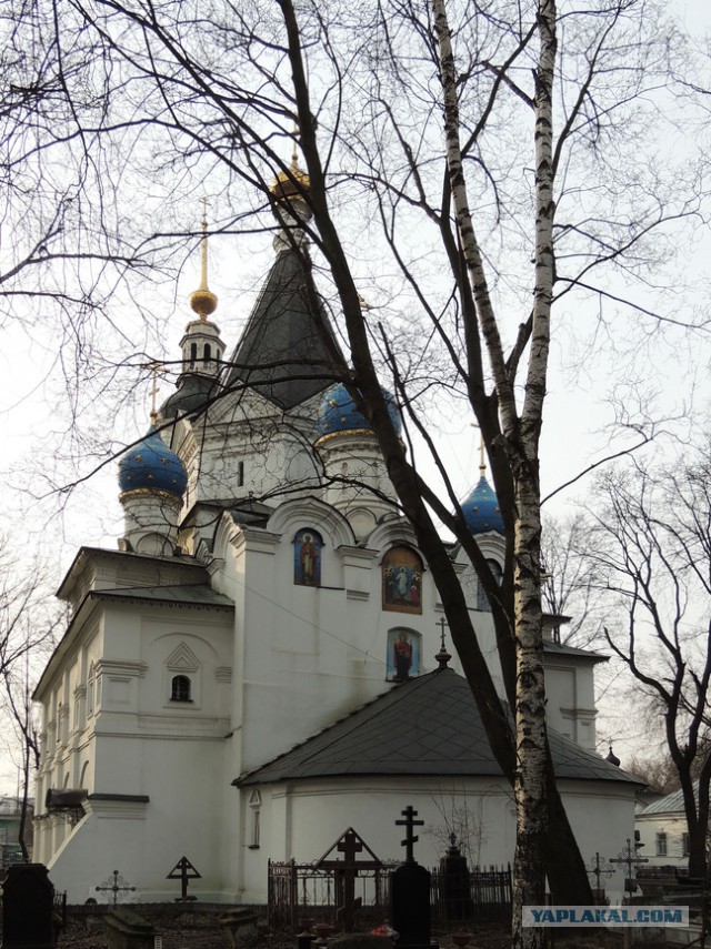 Кусково было вырублено на основании несуществующего приказа!