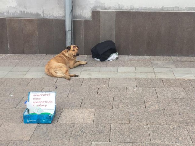 Приколы в стиле "регресс"
