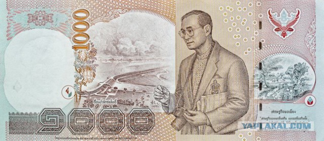 Самые забавные денежные купюры мира (14 фоток)
