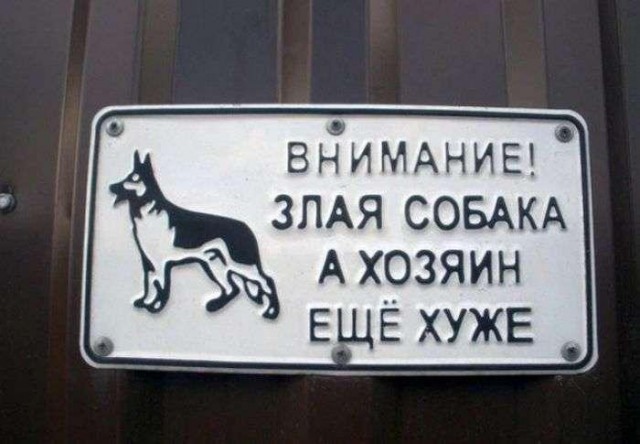 Надписи от тех, кто точно знает, как приковать наше внимание