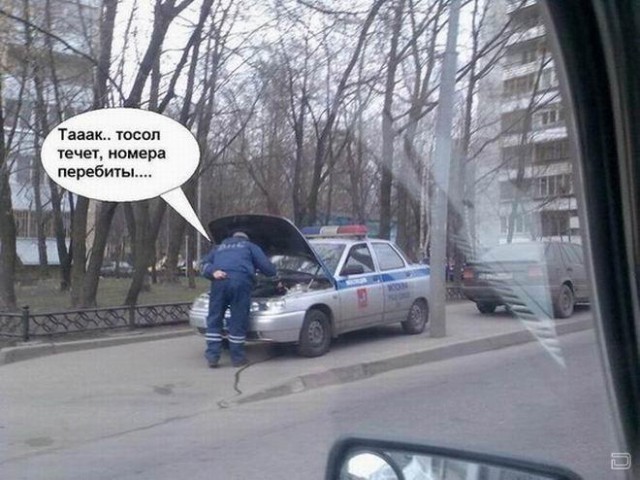 Немного картинок в эту пятницу