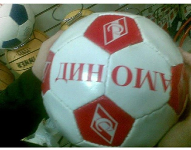 Лента прикольных картинок