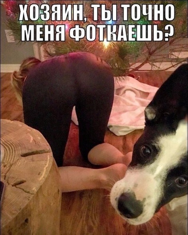 Картинки понедельника