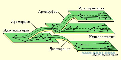 Это было 50 миллионов лет назад