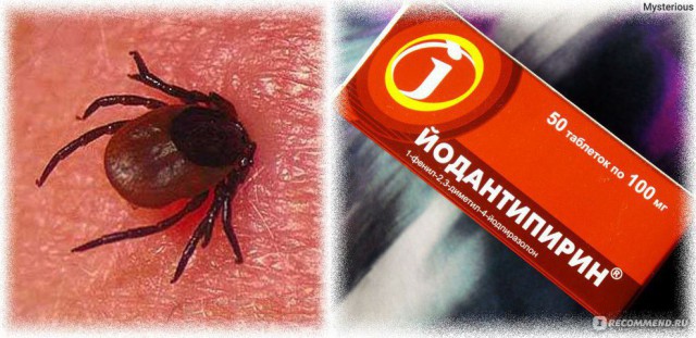 Решили пожарить шашлычка на выходных