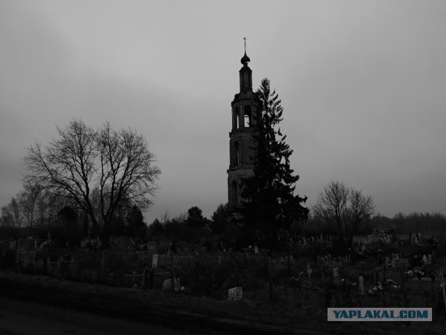 Сам себе фотограф