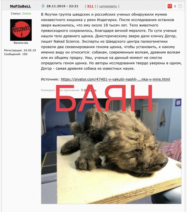 Научные сотрудники из Швеции обнаружили щенка, которому ~18000 лет