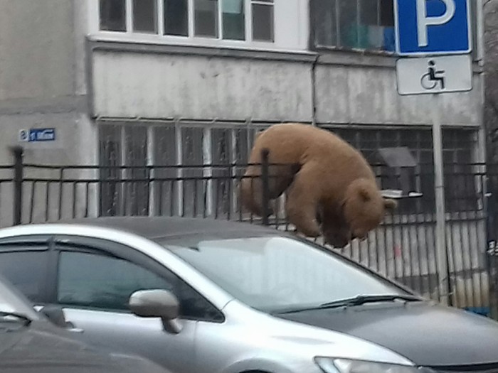 Жители Балашихи (железнодорожного) просят о помощи!