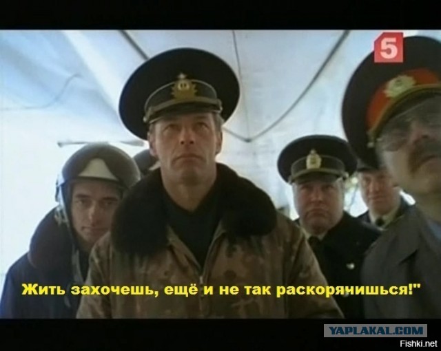 Голодный мигрант убил утку в Шушарах, утащил её в бытовку и принялся готовить. Трапезу прервали полицейские