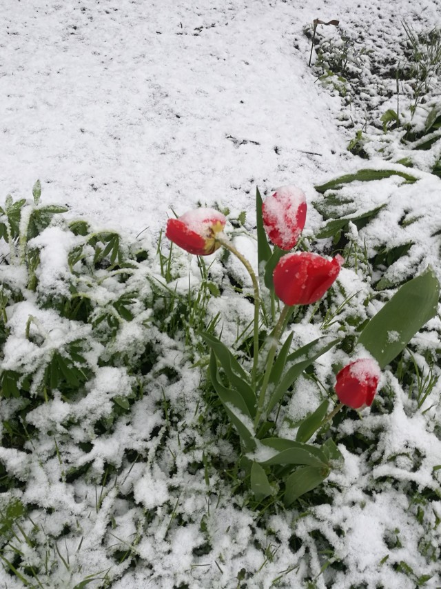 Давайте делиться фотками прошедшего дня