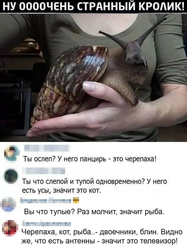 За 500 гитару не купишь и чем отличается девушка от женщины