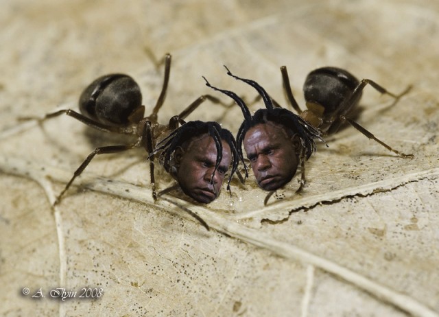 Cуровый сисадмин
