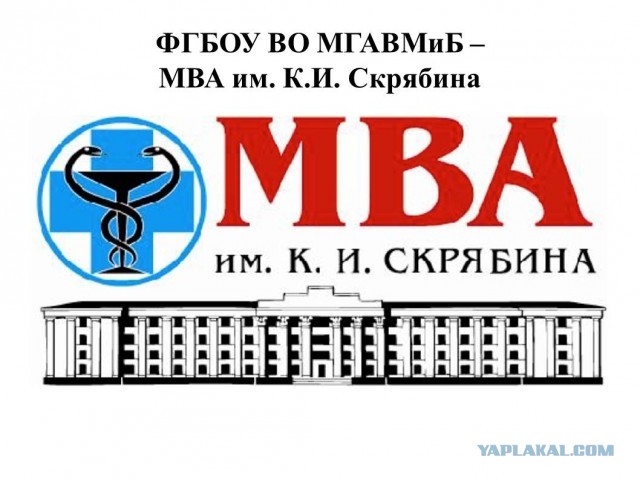А что если всех этих чуваков с МВА штампуют специально?