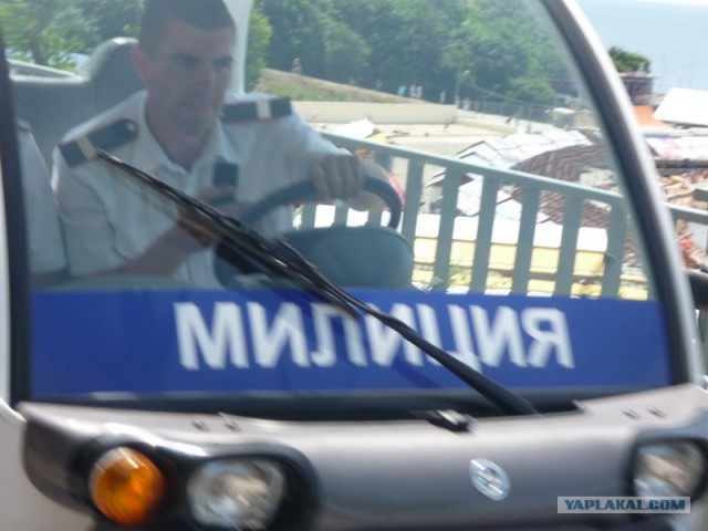 Веселая полиция