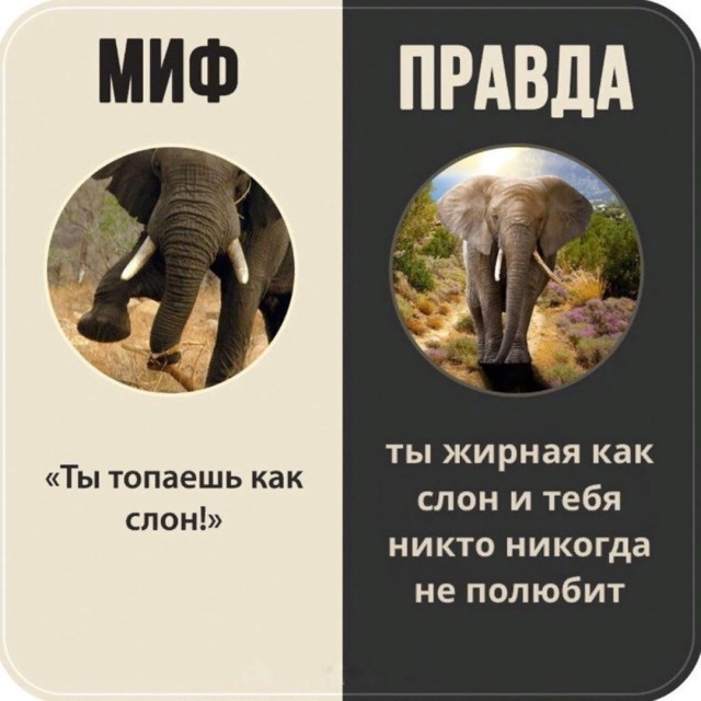Бредзона 18.10.20