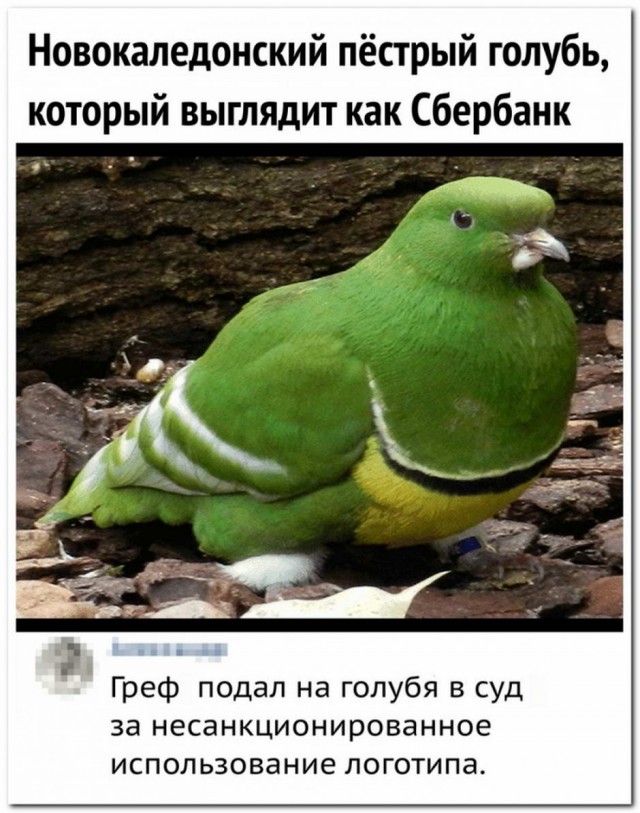 Картинки с надписями и всякие жизненные фразы