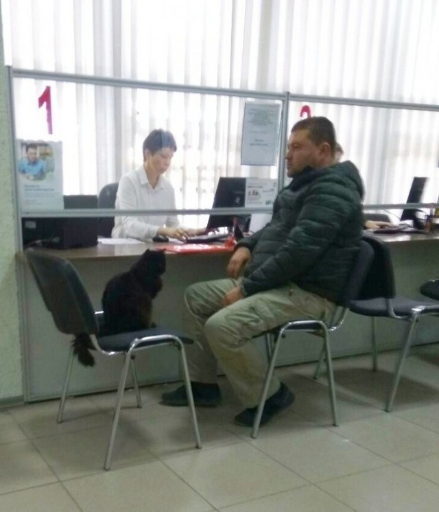 Подборка забавной живности