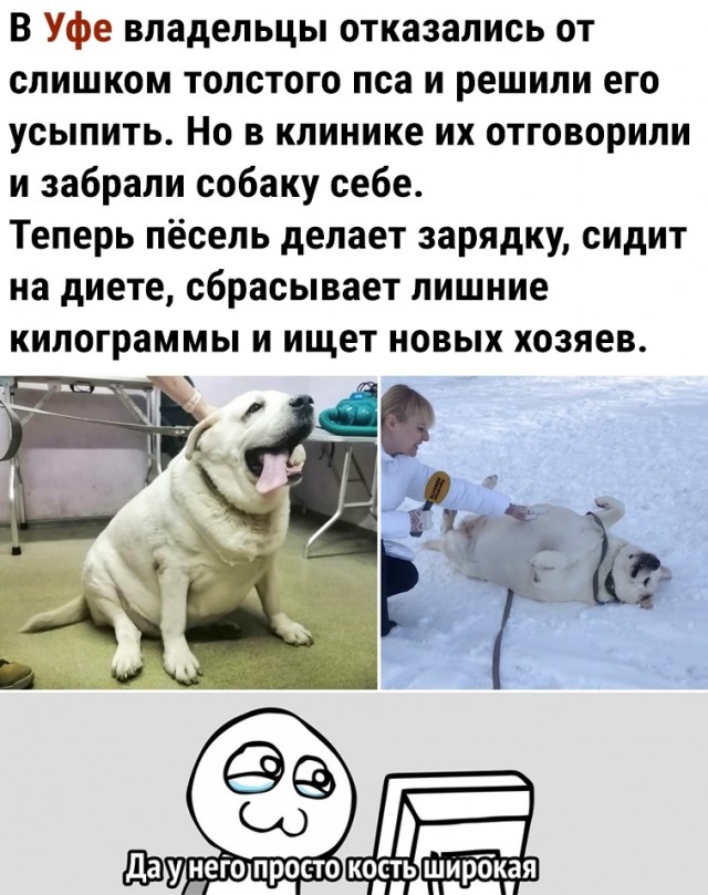 Кретинизмы из сети Night Edition 9.02.21