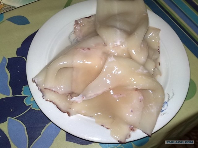 Фаршированный кальмар по Дженибековски.