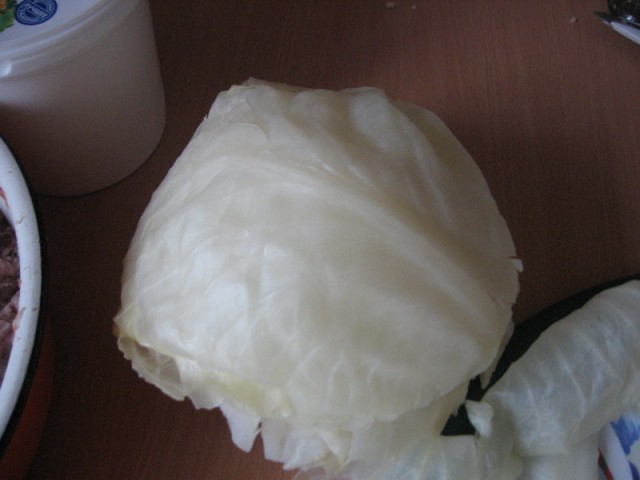 Капуста International, Наступила осень, отцвела капуста...