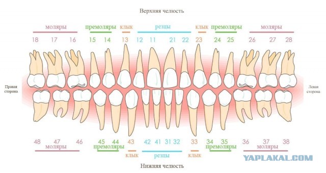Последняя картинка в вашей Галерее/Загрузках