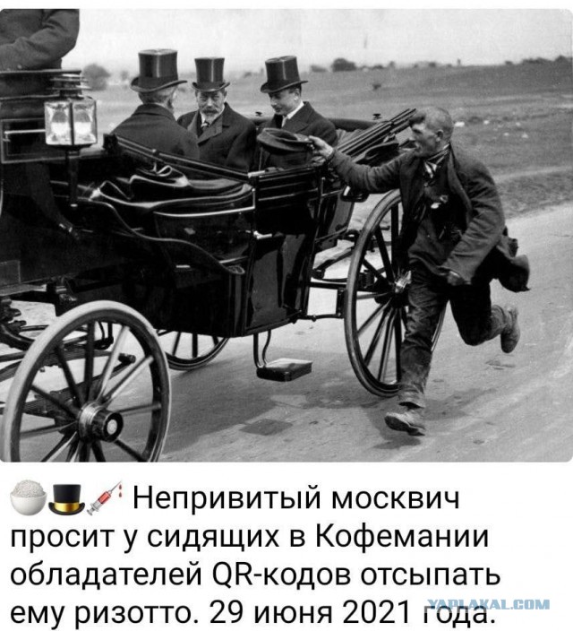 Пандемия. Коронавирус. Россия и мир. Последняя информация. Часть 21