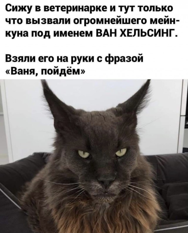 Так себе картинки 02.07.21