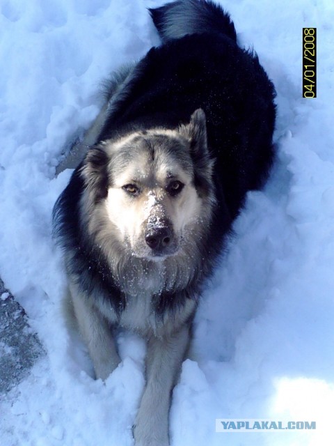 Дорога идущая к радуге.