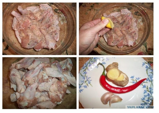 Ноги, хвосты… главное – крылья!, Кура-International–2, куриные крылья